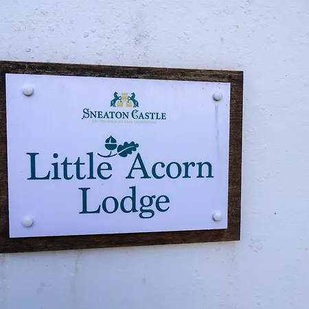Little Acorn * Whitby